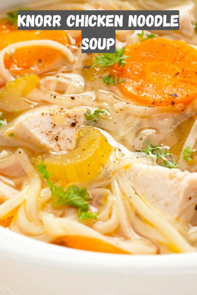 Knorr Chicken Noodle Soup