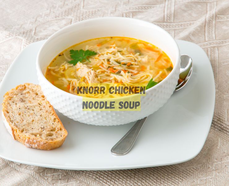 Knorr Chicken Noodle Soup